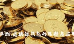 全面评测：区块链钱包的选择与应用解析