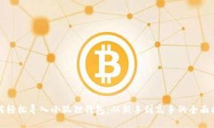 如何轻松导入小狐狸钱包：从新手到高手的全面
