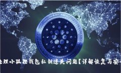 如何处理小狐狸钱包私钥遗失问题？详解恢复与