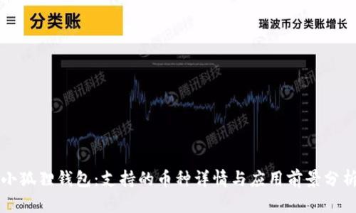 小狐狸钱包：支持的币种详情与应用前景分析