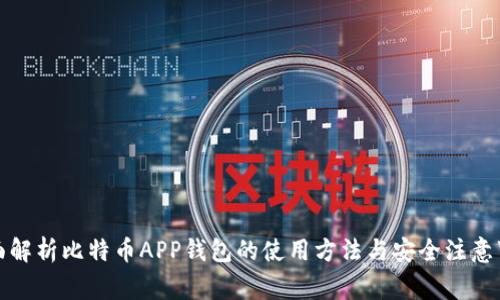 全面解析比特币APP钱包的使用方法与安全注意事项