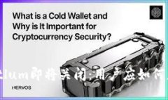 比特币钱包Bitlum即将关闭