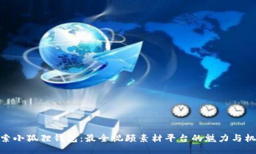 探索小狐狸钱包：最全视频素材平台的魅力与机遇