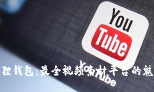探索小狐狸钱包：最全视频素材平台的魅力与机遇