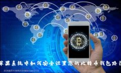 苹果系统中如何安全设置