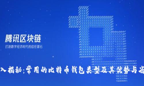 深入揭秘：常用的比特币钱包类型及其优势与劣势