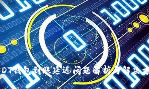 USDT钱包到账延迟问题解析与解决方案