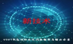 USDT钱包到账延迟问题解析