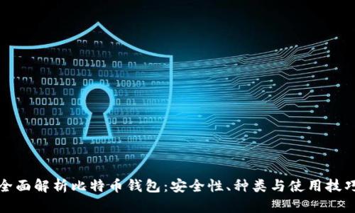 全面解析比特币钱包：安全性、种类与使用技巧