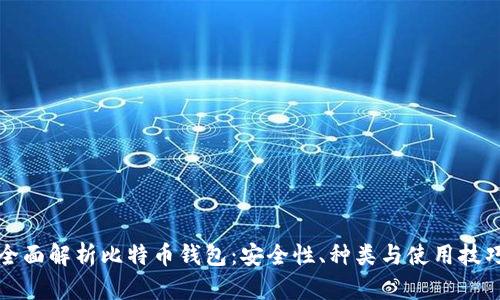 全面解析比特币钱包：安全性、种类与使用技巧