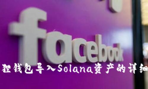 小狐狸钱包导入Solana资产的详细指南