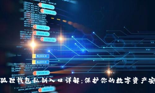 小狐狸钱包私钥入口详解：保护你的数字资产安全