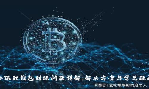 小狐狸钱包到账问题详解：解决方案与常见疑问
