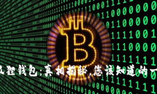 小狐狸钱包：真相揭秘，您该知道的一切！
