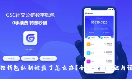 : 小狐狸钱包私钥被盗了怎么办？全面应对措施与预防技巧