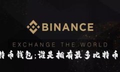 揭秘比特币钱包：谁是拥