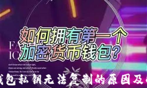 
小狐狸钱包私钥无法复制的原因及解决方法