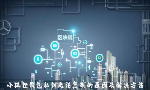 
小狐狸钱包私钥无法复制的原因及解决方法