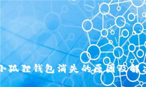 解密小狐狸钱包消失的原因及解决方案