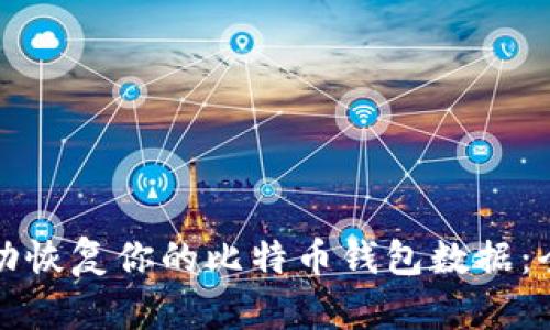 如何成功恢复你的比特币钱包数据：全面指南