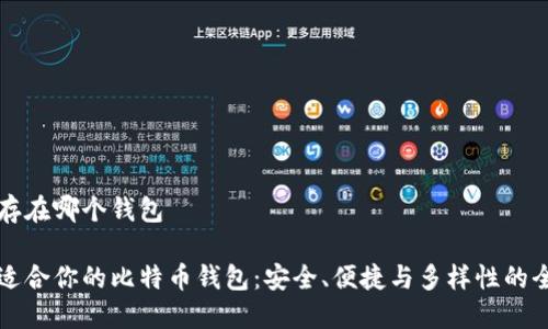 比特币保存在哪个钱包

如何选择适合你的比特币钱包：安全、便捷与多样性的全方位指南