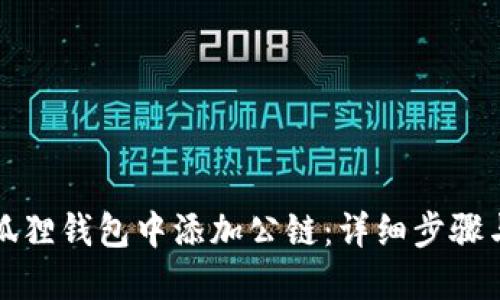 如何在小狐狸钱包中添加公链：详细步骤与实用技巧