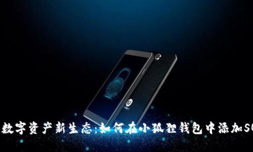 : 打造数字资产新生态：如何在小狐狸钱包中添加SQL网络