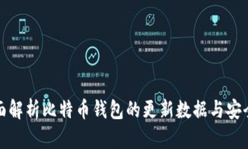 全面解析比特币钱包的更新数据与安全性
